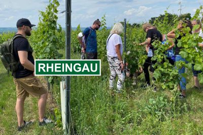 Standort-Rheingau